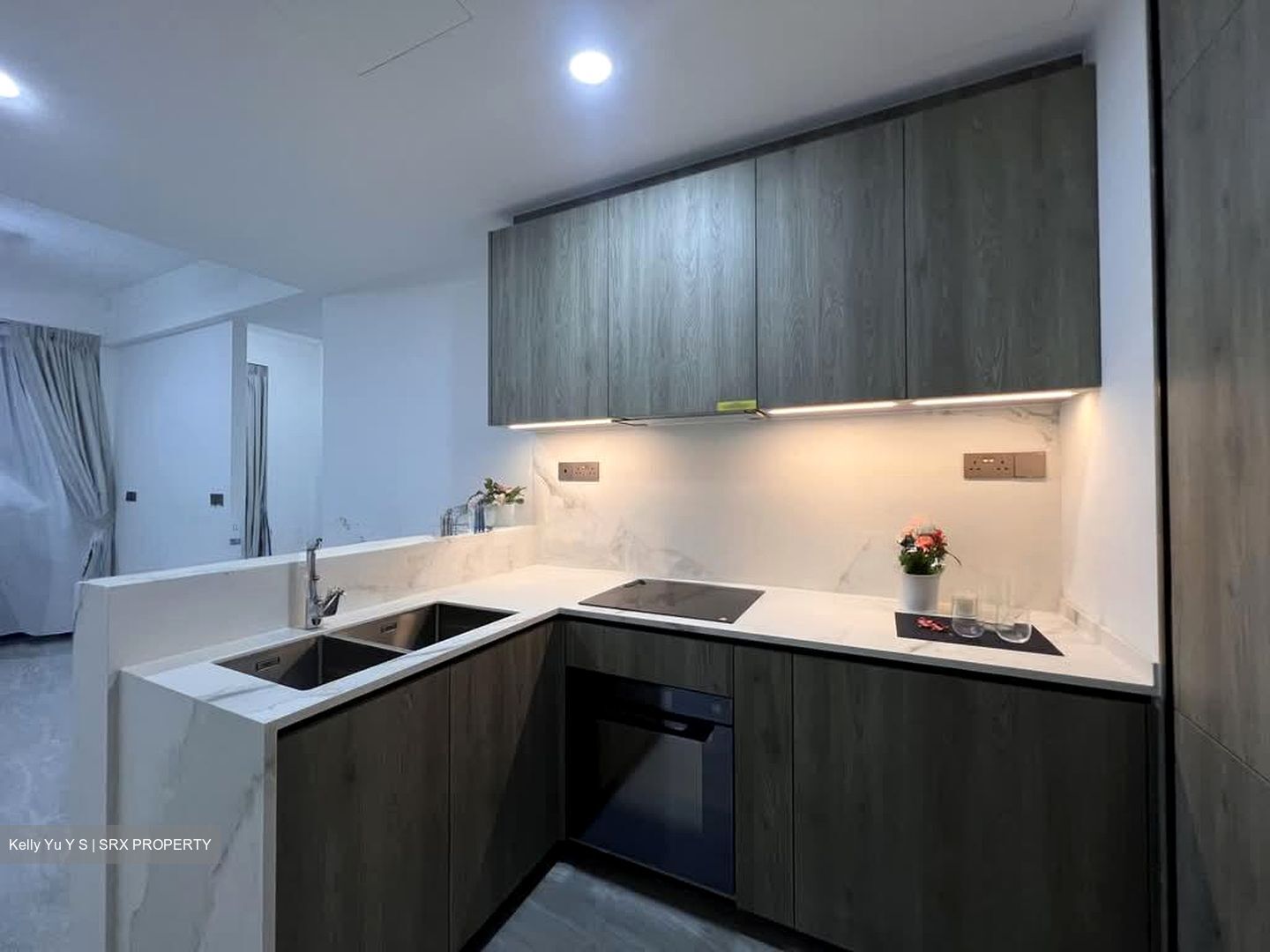 Leedon Green (D10), Condominium #584470731